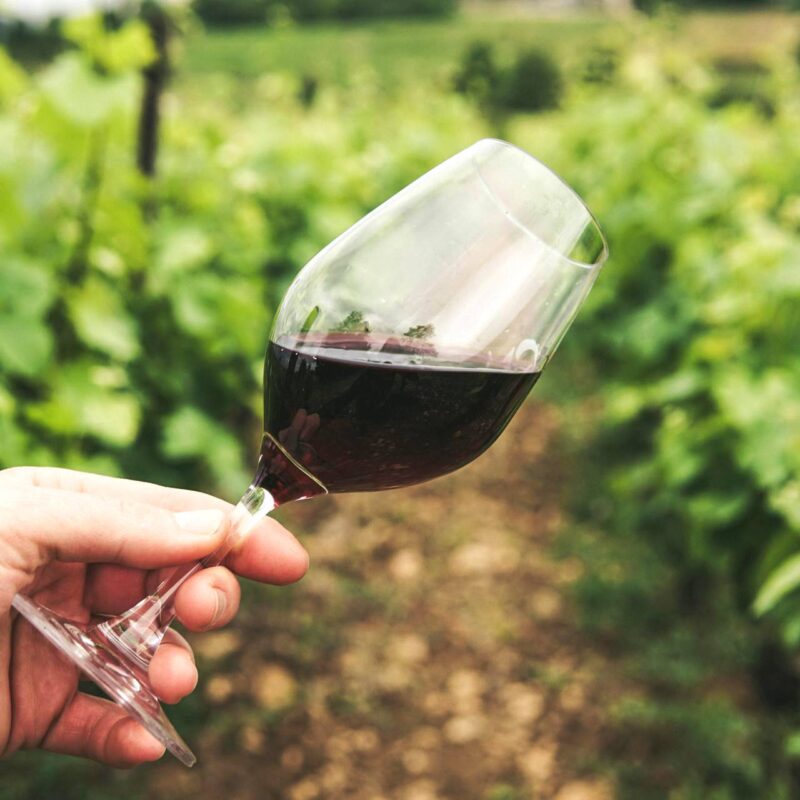 wine-26